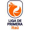 Liga De Primera